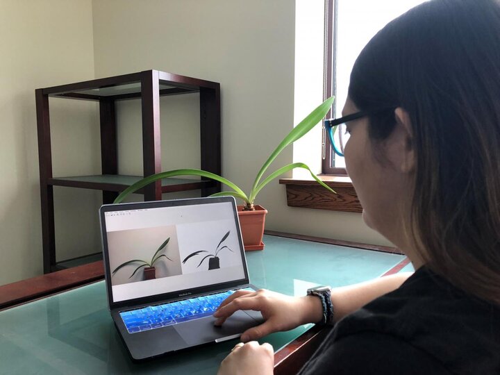 Rubi Quinones on laptop displaying the image of a plant that's in front of her